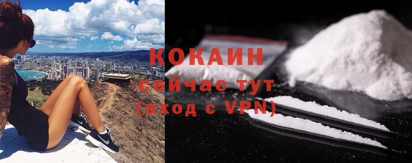 ПСИЛОЦИБИНОВЫЕ ГРИБЫ Абаза