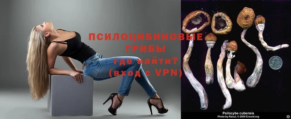 ПСИЛОЦИБИНОВЫЕ ГРИБЫ Абаза