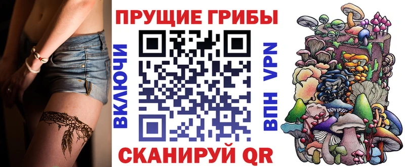 Псилоцибиновые грибы Psilocybe  Ирбит 
