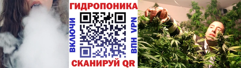 дарнет шоп  Ирбит  Шишки марихуана MAZAR 